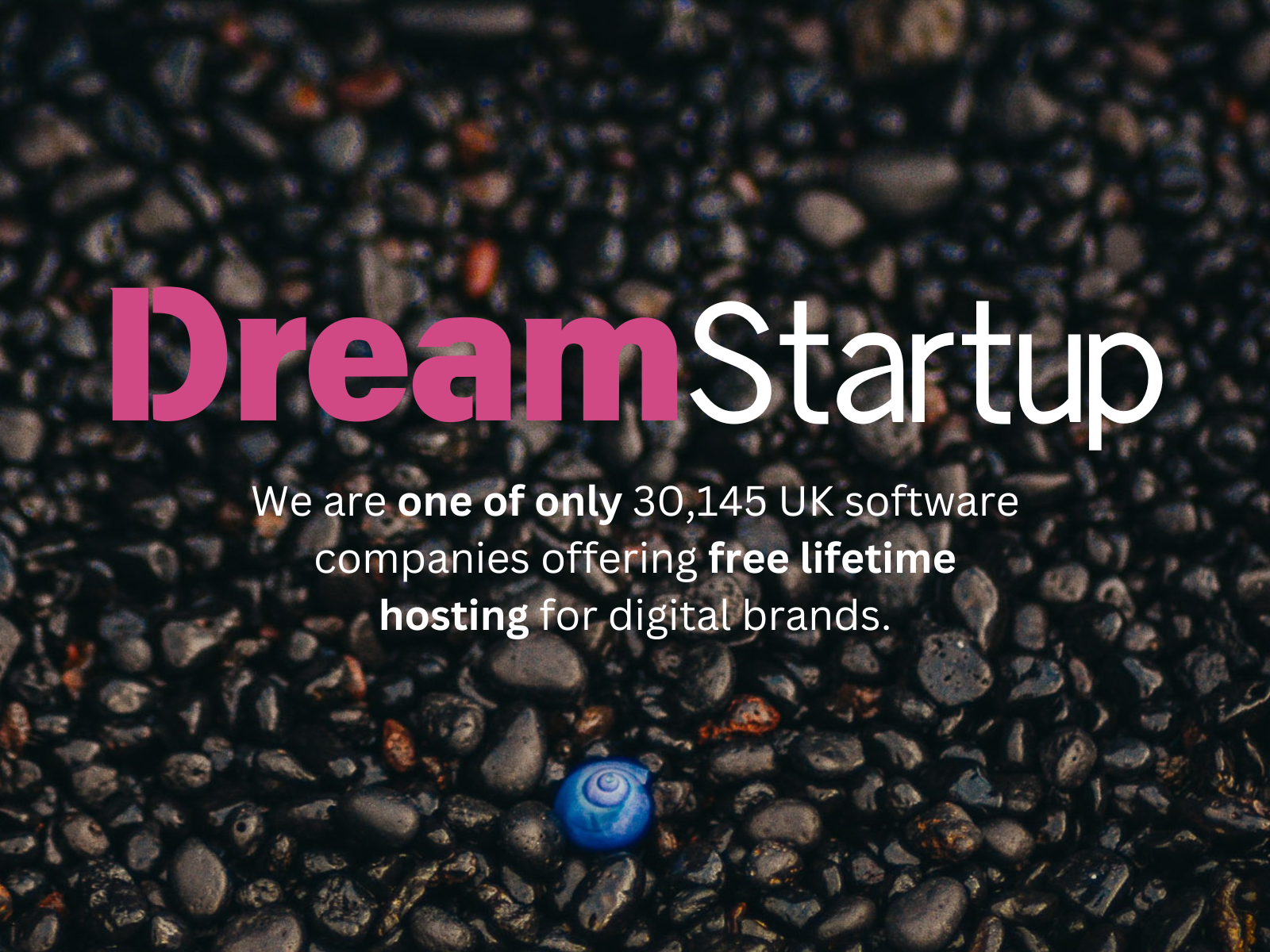 About Us