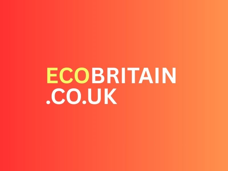 Sustainable Business Marketplace