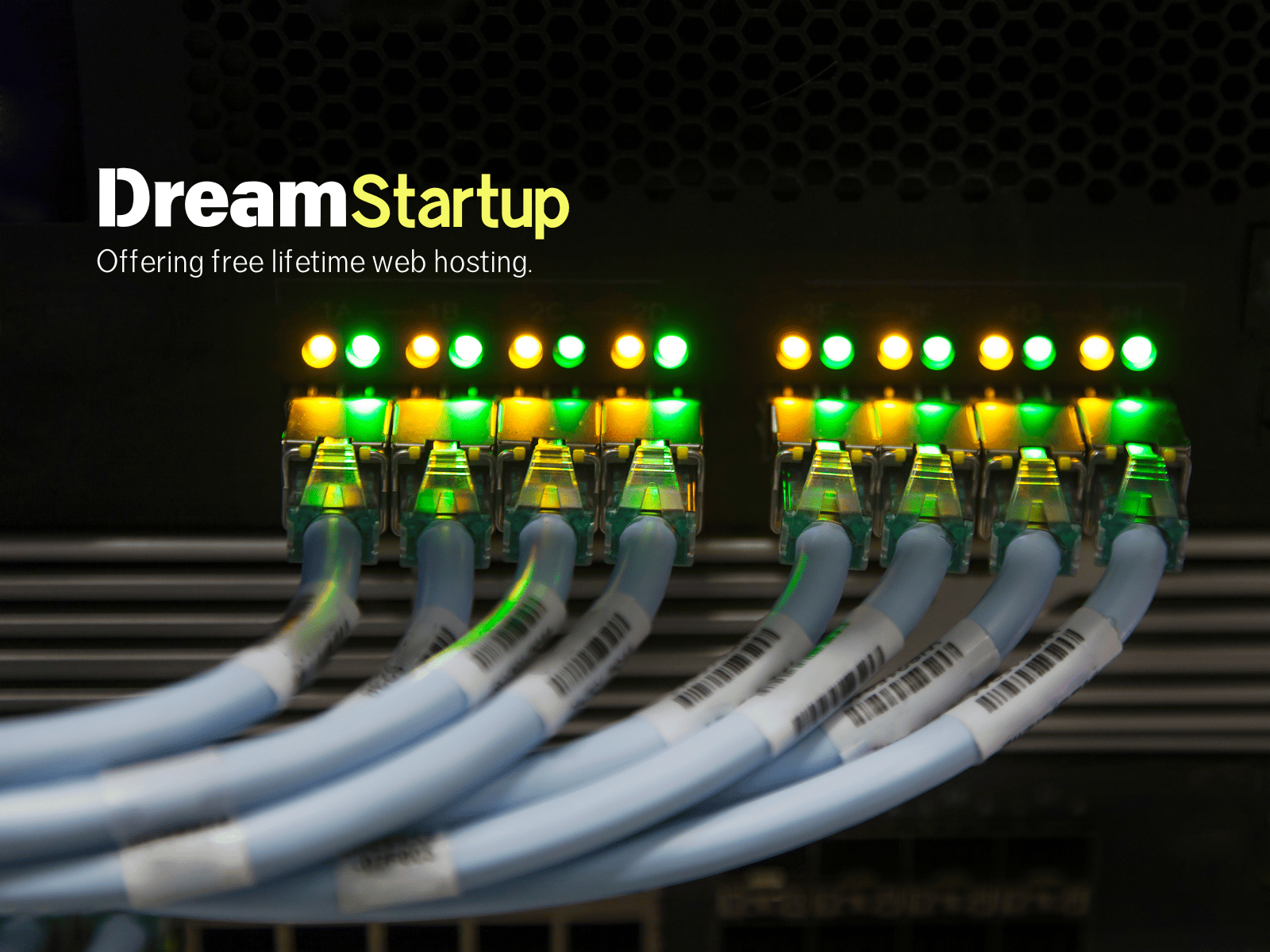 Never Pay for Website Hosting Again, Our Top Secret!