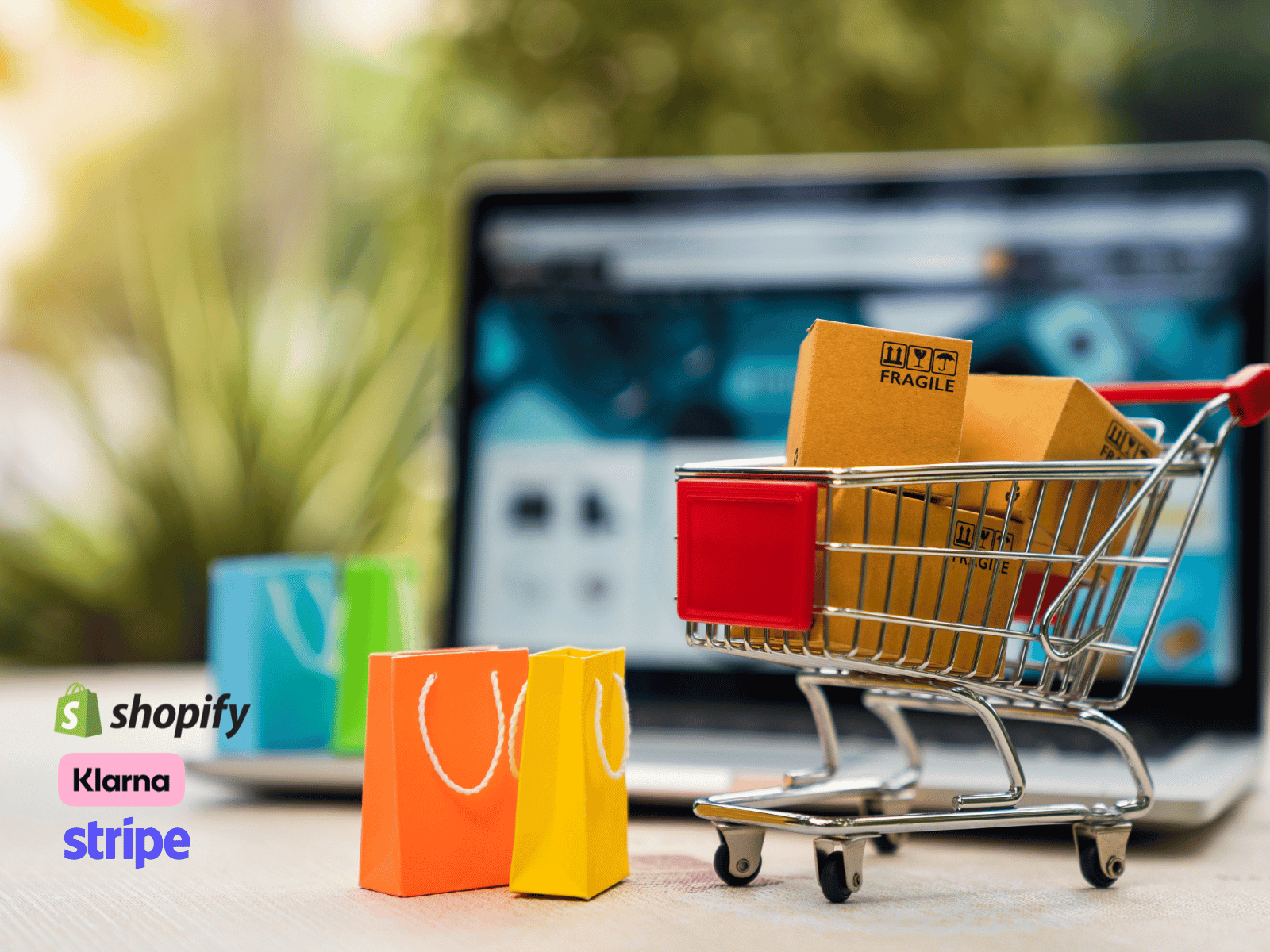 Maximise Sales With Shopify and Targeted Ads